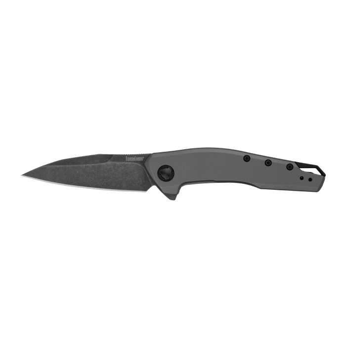 Kershaw Sanctum
