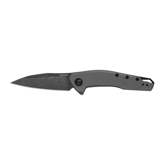Kershaw Sanctum