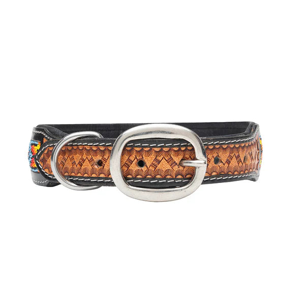 Dodger Dog Collar