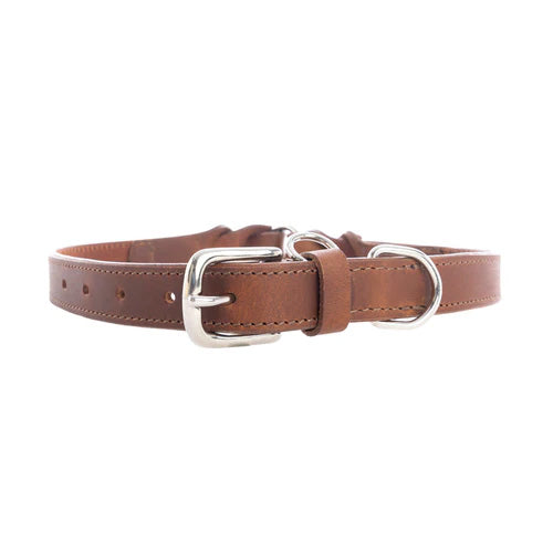 Topside Dog Collar